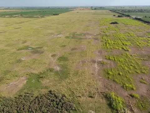VENTA DE CAMPO EN SAN JERONIMO DEL SAUCE 252 has