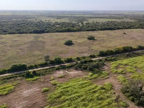 VENTA DE CAMPO EN SAN JERONIMO DEL SAUCE 252 has