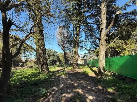 Terreno en Venta de 1260,0 m2