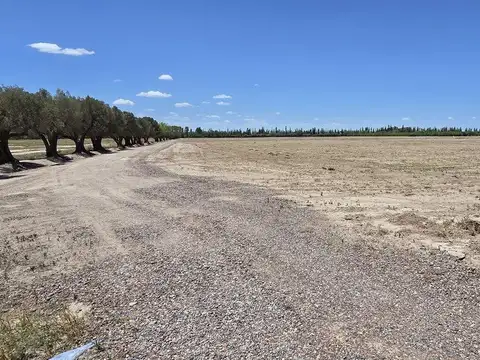 Terreno en Venta en Chapanay, USD 12.000