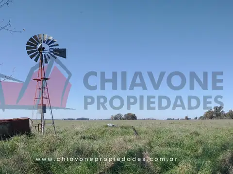 Campo en Venta en Navarro, Partido de Navarro