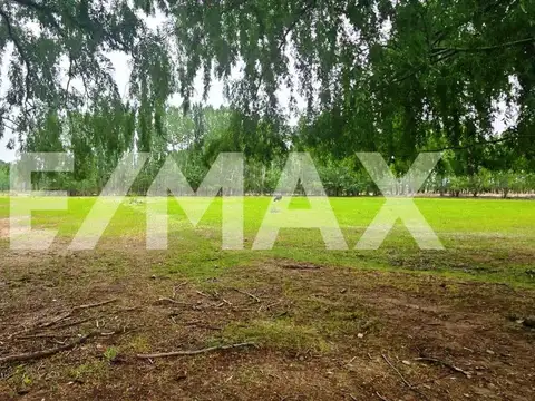 VENTA LOTE DE 2.500 M2 EN SENILLOSA