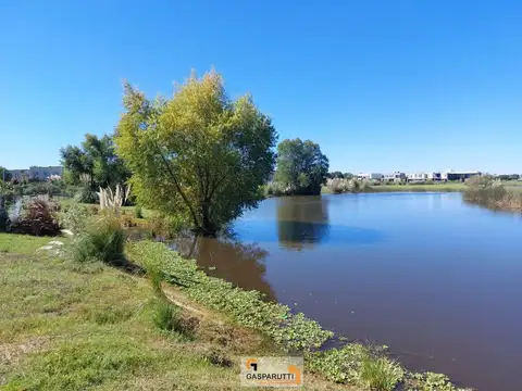 Terreno en Venta de 824,0 m2