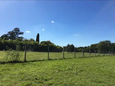 John F Kennedy al 1200