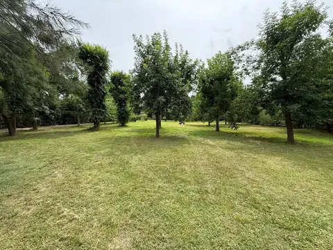 El Tordillo 500