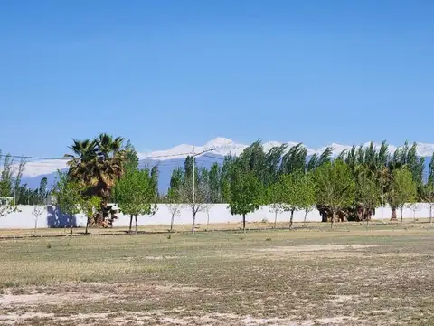 Severo Del Castillo