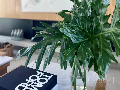 Casa 6 ambientes con 4 baños