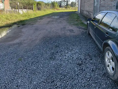 Galpon en Alquiler 50  mts Fondo