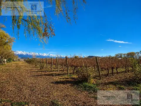 Villa Seca / Tunuyán, Mendoza