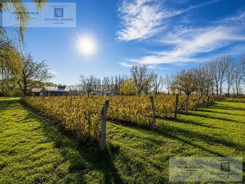 Villa Seca / Tunuyán, Mendoza