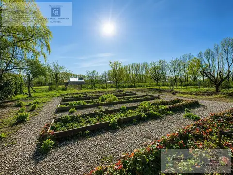 Finca con Complejo Turistico / Cabañas en venta en Tunuyan Mendoza