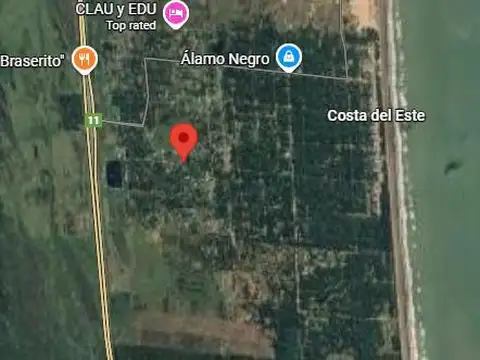 Los Malvones y Avenida 5