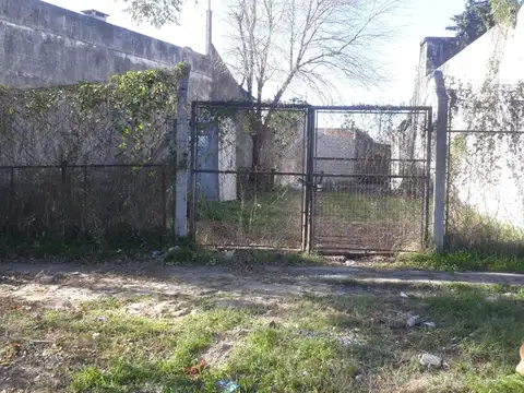 Inte Carlos Ratti 500