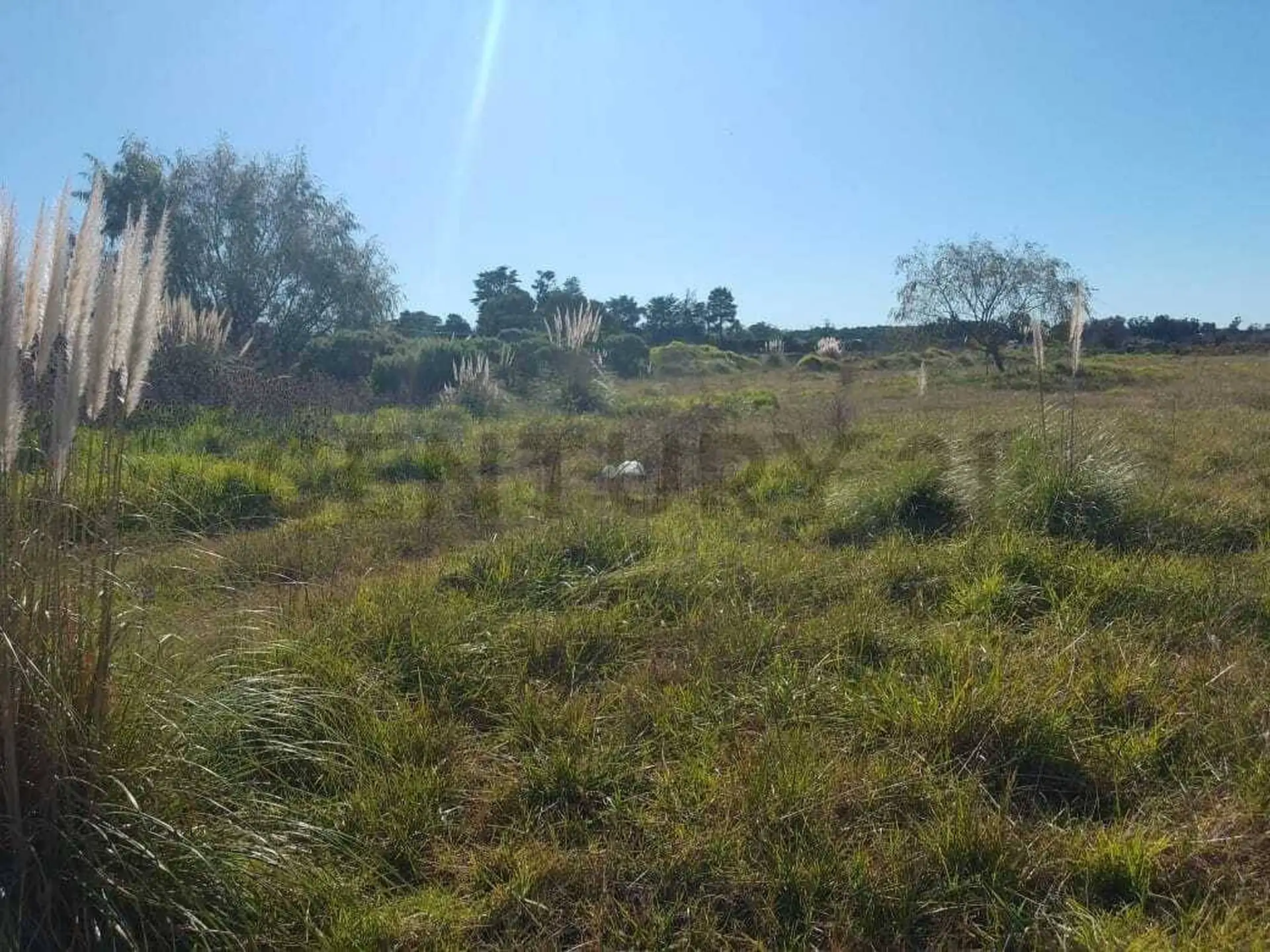 3.5 HECTAREAS ZONA BATAN ID 68284