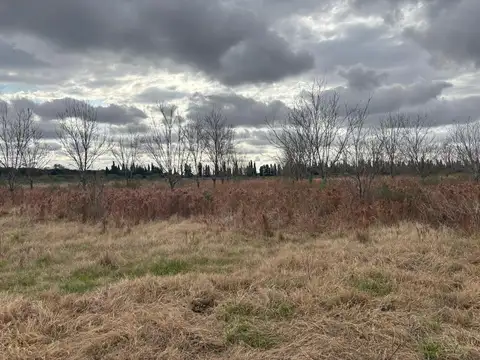 9 has de campo con mejoras y pecanes en venta.