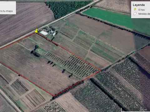 8 has de campo con mejoras y pecanes en venta.