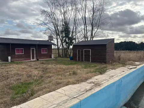9 has de campo con mejoras y pecanes en venta.