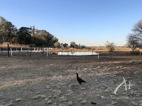 - Rosario de la Frontera