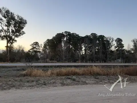 - Rosario de la Frontera