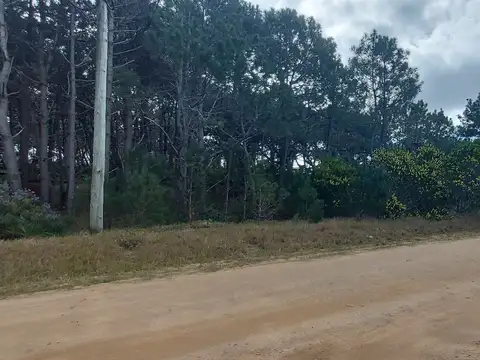 Terreno en Venta de 765,0 m2