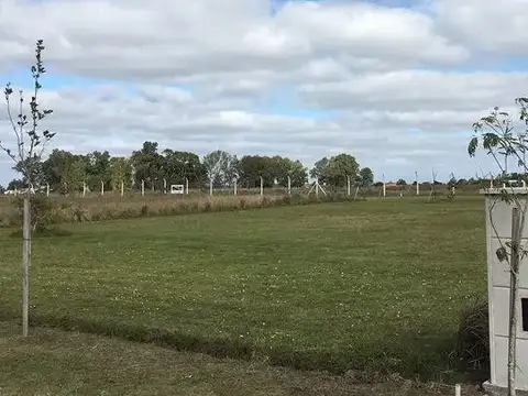 Campos De La Enriqueta