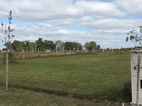 Campos De La Enriqueta