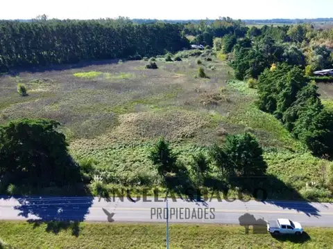 Terreno en Venta 37  mts Frente
