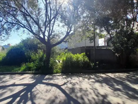 VENTA TERRENO VILLA RIVERA INDARTE 490 M2