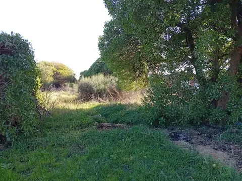 Las Caracolas entre Av. lobos Marinos y Los Narvales
