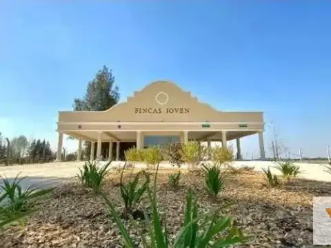 Terreno en venta - 650Mts2 - Finca Joven
