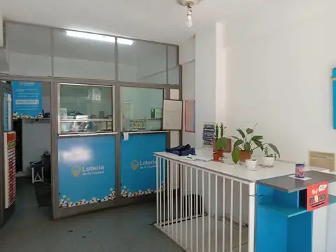 Alejandro Magariños Cervantes 1500