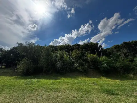 Se vende terreno zona parque industrial