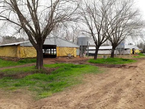 Terreno en Venta en San Pedro, USD 2.600.000