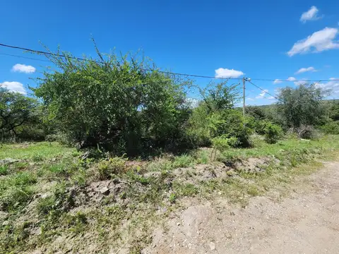 LOS ESPINILLOS, POTRERO DE GARAY