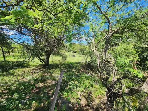Terreno en Venta de 698,0 m2