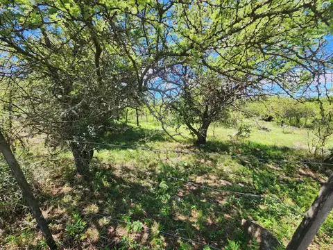 TERRENO UBICADO A 20 METROS DE LA RUTA PRINCIPAL, LOS ESPINILLOS, POTRERO DE GARAY