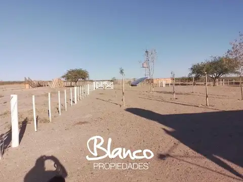 Terreno Campo  en Venta en La Reforma, Limay Mahuida, La Pampa