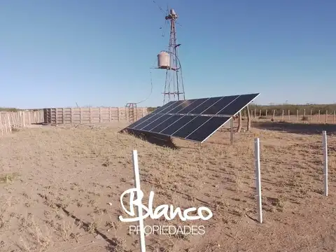 Campo Ganadero La Pampa -