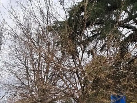 VENTA  DE  QUINTA, INVERSION . 