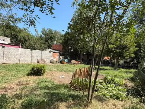 LA Golondrina y El Palenque 2200