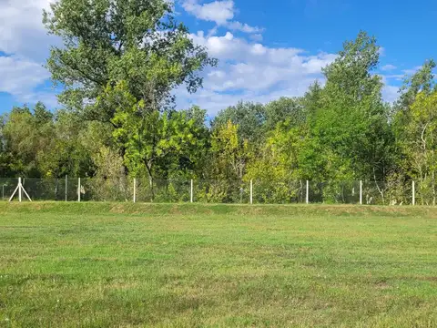 Venta |  Lote interno en  barrio Nativas a la Reserva en Oportunidad - Puertos