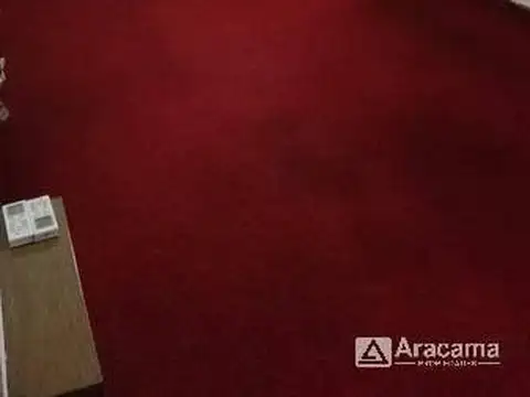 Ameghino 43