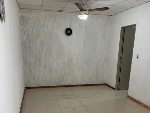 Ameghino 43