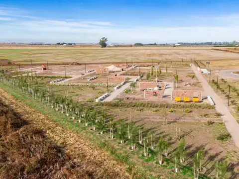 terrenos en villa amelia