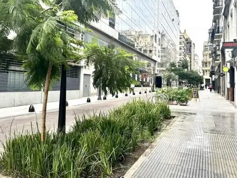 2 amb. en Planta Baja, Apto profesional, Reconquista y Paraguay