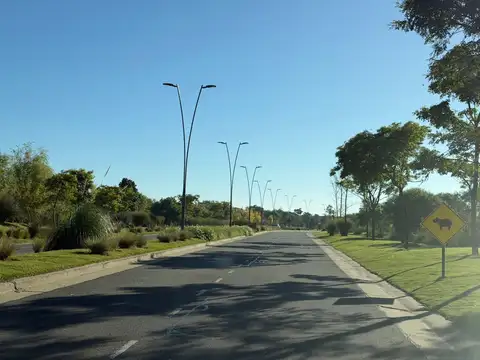 Nativas - Puertos del Lago - Avenida de Los Lagos