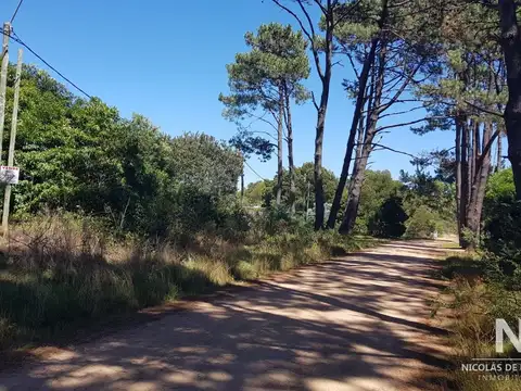 Terreno en Punta Ballena, Portezuelo Bosque