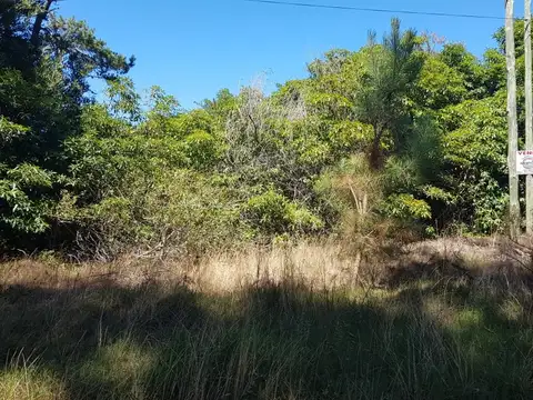 Terreno en Venta en Punta Ballena, USD 110.000