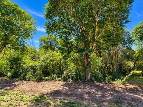 VENTA LOTE EN LA FLORITA VILLA GENERAL BELGRANO