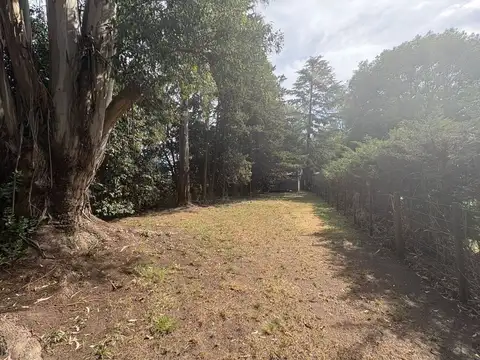 TERRENO EN VENTA SAN MIGUEL DEL MONTE 